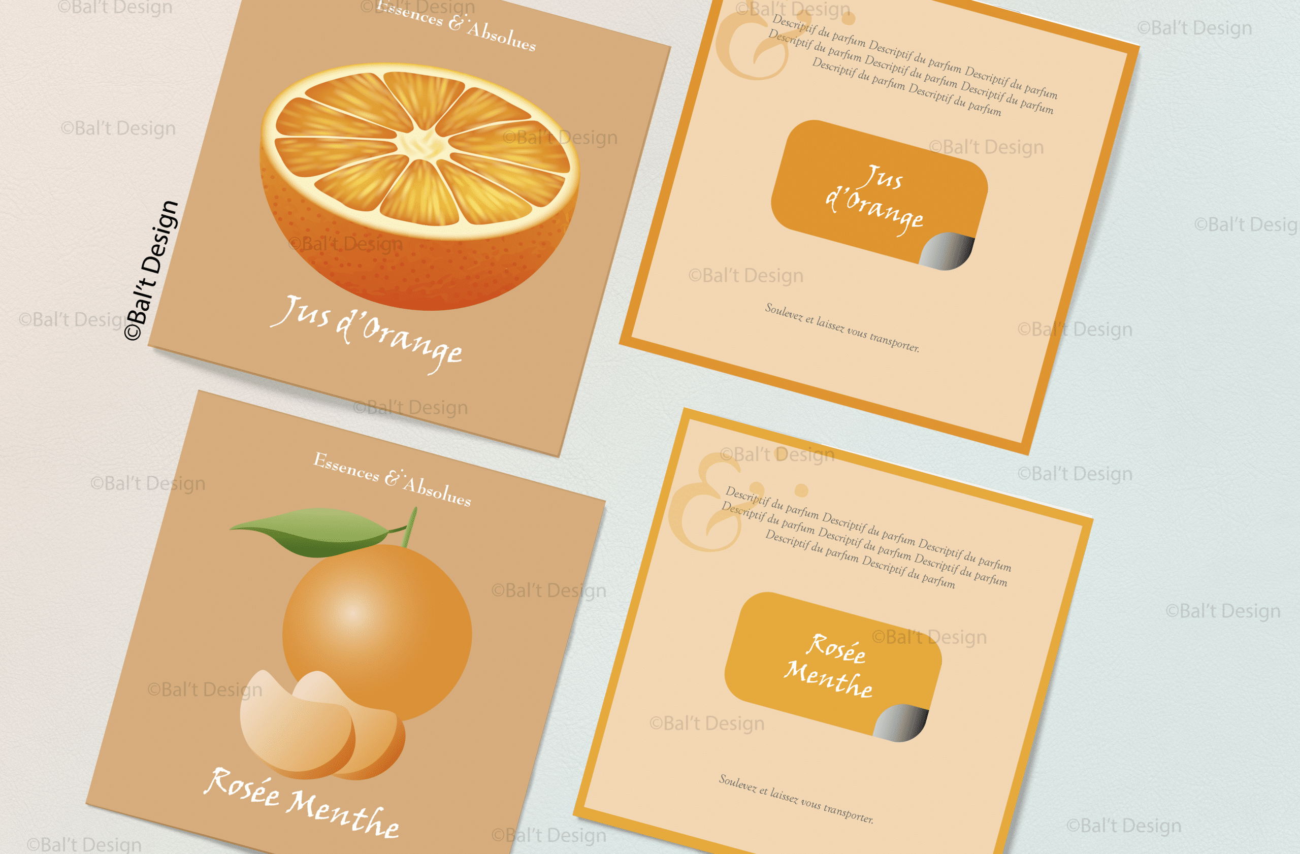 Mock up Carton parfum Essences Absolues