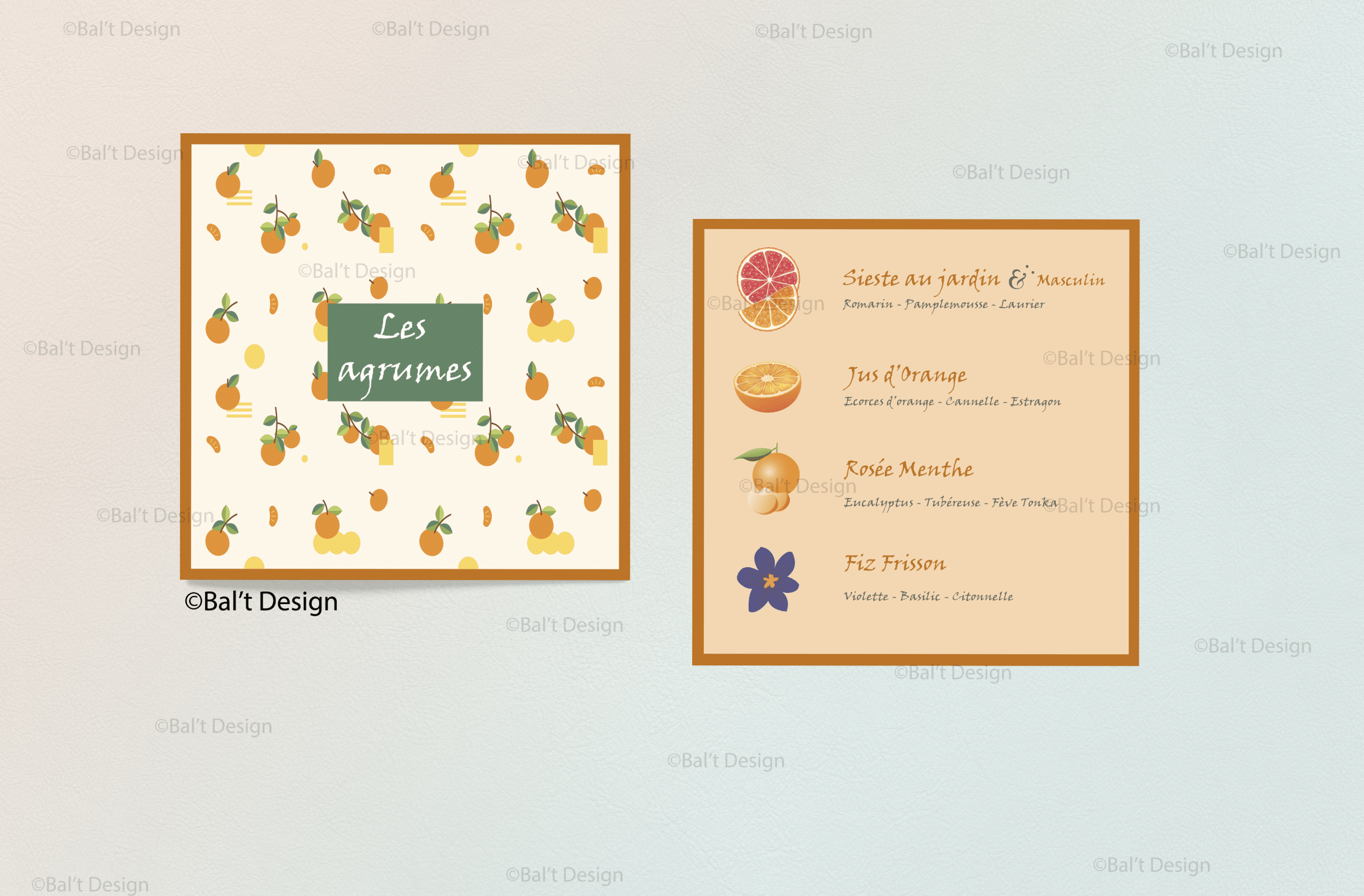 Mock up Carton parfum Essences Absolues