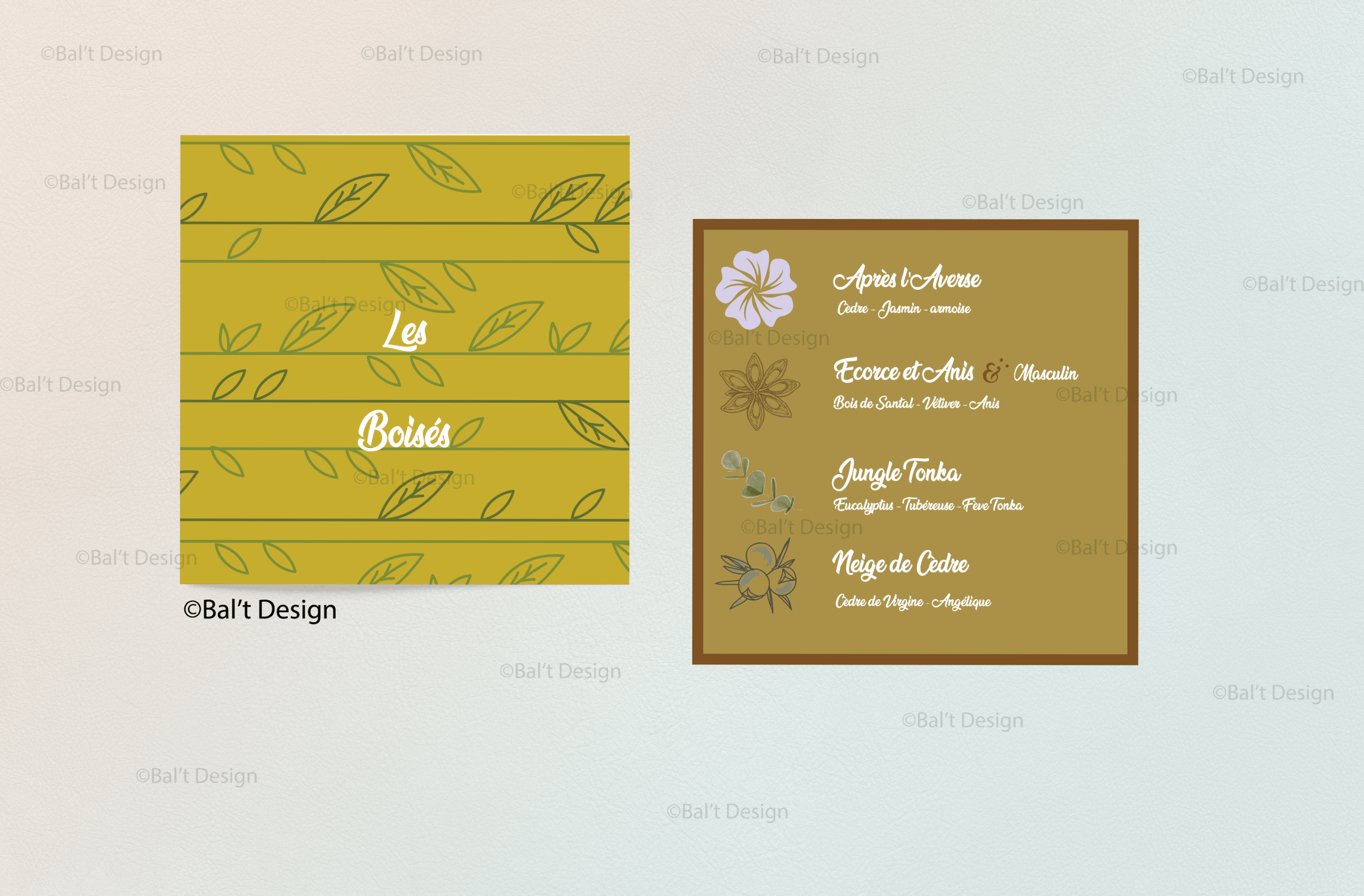 Mock up Carton parfum Essences Absolues