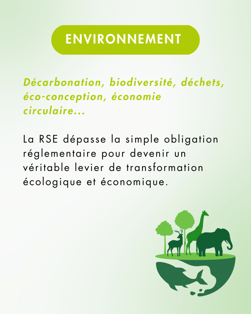 Descriptif RSE - Pilier Environnement